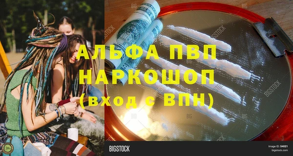 прущие грибы Вязьма