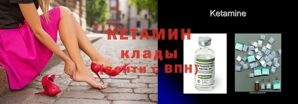 прущие грибы Вязьма