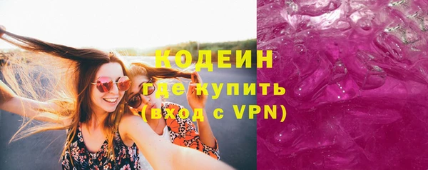 прущие грибы Вязьма